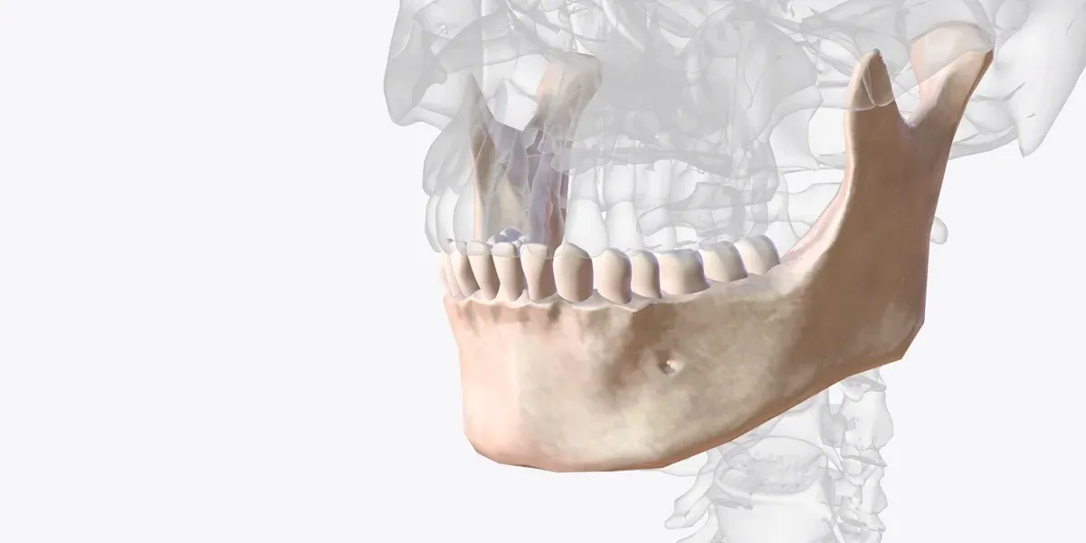 What is Jaw Reconstruction Surgery?