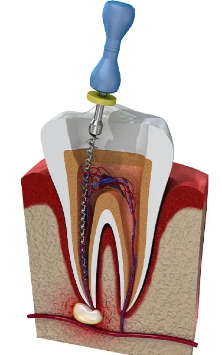 Smiling dentist